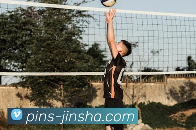 金沙娱乐平台生态图